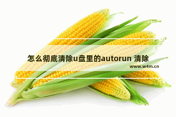 怎么彻底清除u盘里的autorun 清除U盘中的autorun文件