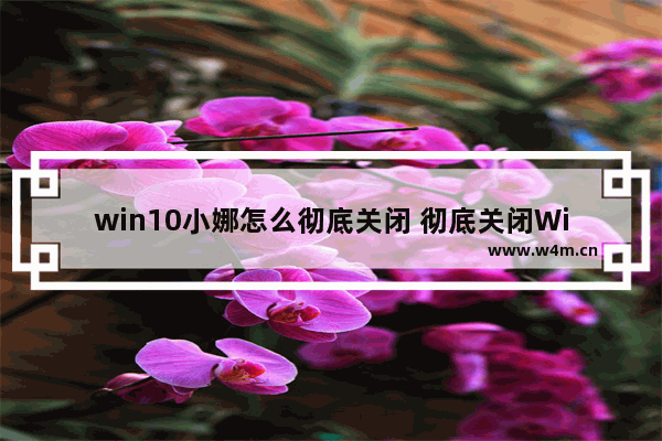 win10小娜怎么彻底关闭 彻底关闭Win10小娜的方法