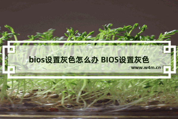 bios设置灰色怎么办 BIOS设置灰色解决方法