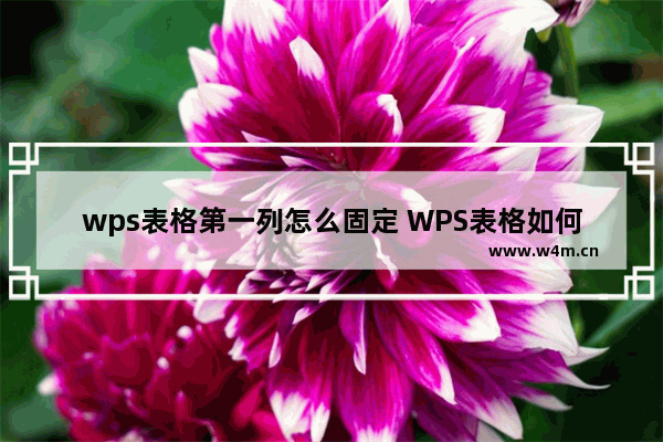 wps表格第一列怎么固定 WPS表格如何锁定首列？