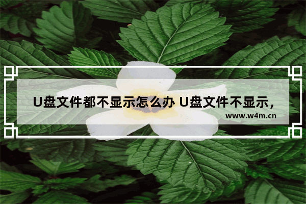 U盘文件都不显示怎么办 U盘文件不显示，该怎么办？