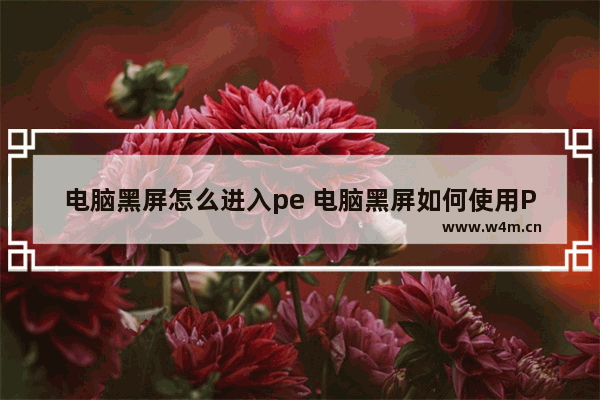 电脑黑屏怎么进入pe 电脑黑屏如何使用PE