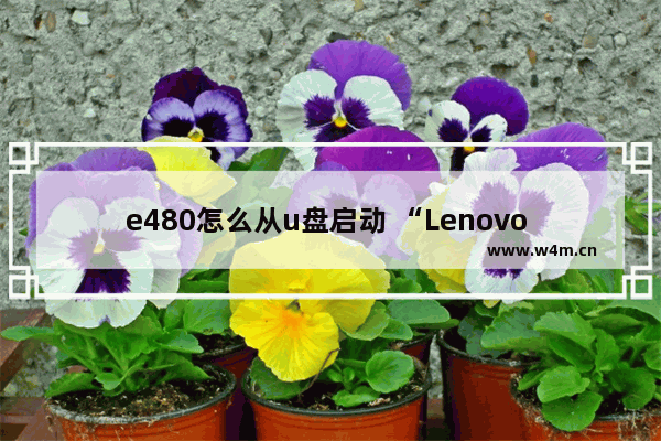 e480怎么从u盘启动 “Lenovo E480使用U盘启动步骤”