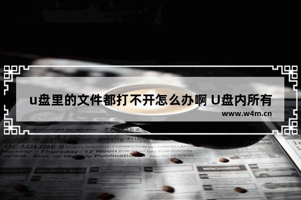 u盘里的文件都打不开怎么办啊 U盘内所有文件无法打开怎么办