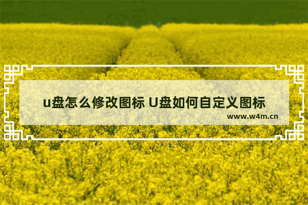 u盘怎么修改图标 U盘如何自定义图标