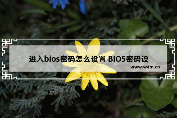 进入bios密码怎么设置 BIOS密码设置方法