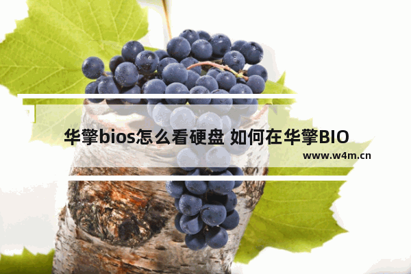 华擎bios怎么看硬盘 如何在华擎BIOS中查看硬盘信息