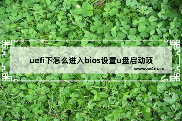 uefi下怎么进入bios设置u盘启动项 uefi下设置u盘启动项的方法