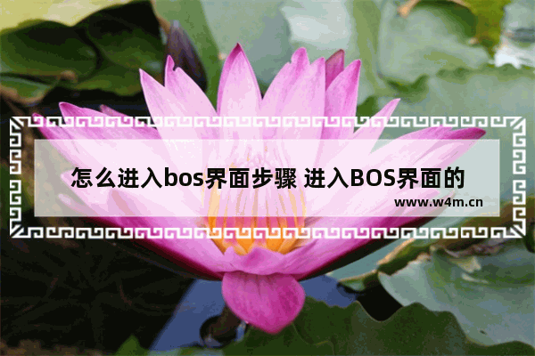 怎么进入bos界面步骤 进入BOS界面的具体步骤详解