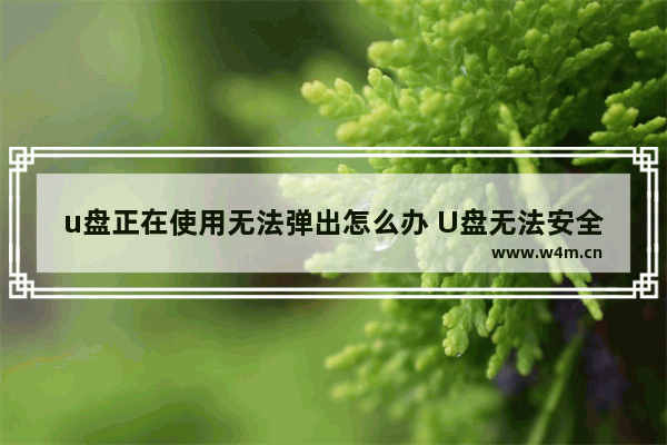 u盘正在使用无法弹出怎么办 U盘无法安全弹出，如何解决？