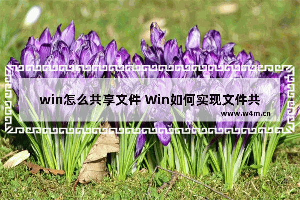 win怎么共享文件 Win如何实现文件共享