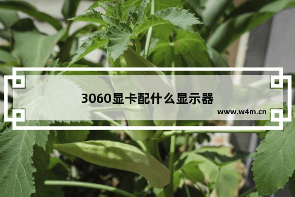 3060显卡配什么显示器