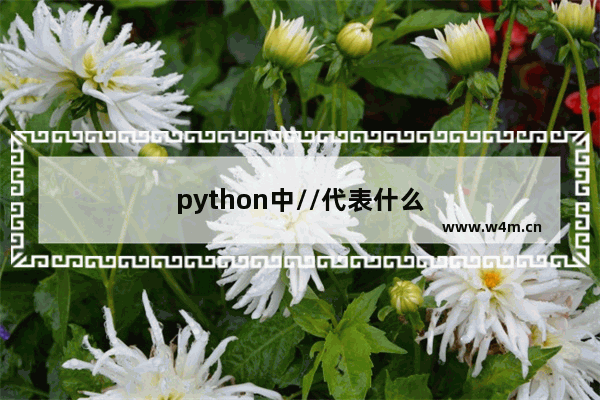 python中//代表什么