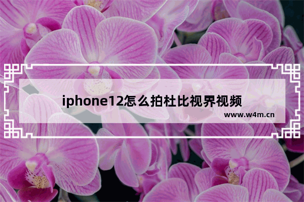 iphone12怎么拍杜比视界视频