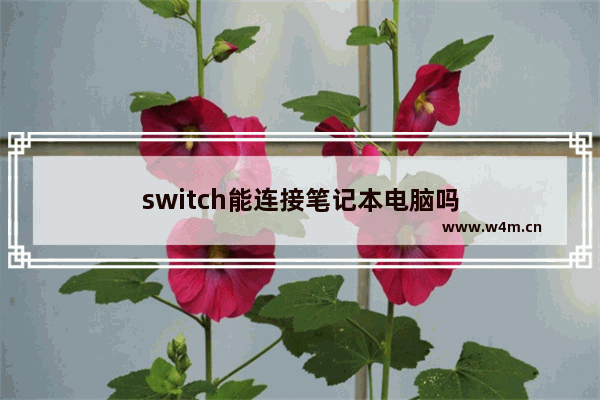 switch能连接笔记本电脑吗