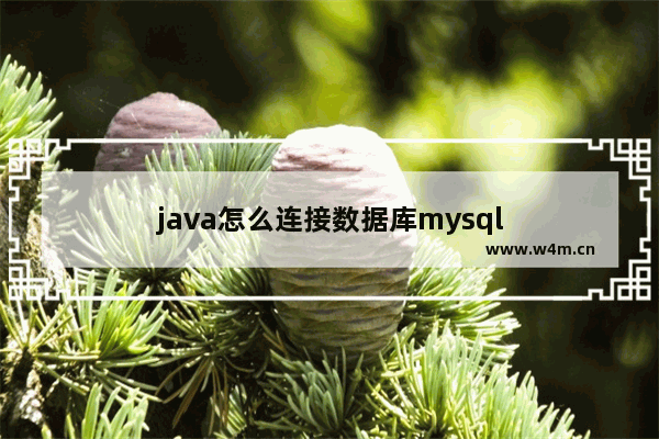 java怎么连接数据库mysql