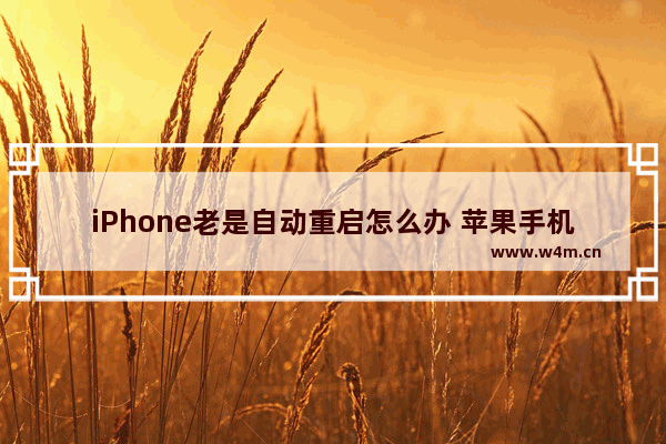 iPhone老是自动重启怎么办 苹果手机自动重启的解决方法