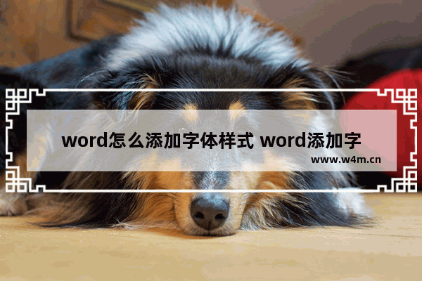 word怎么添加字体样式 word添加字体样式的步骤