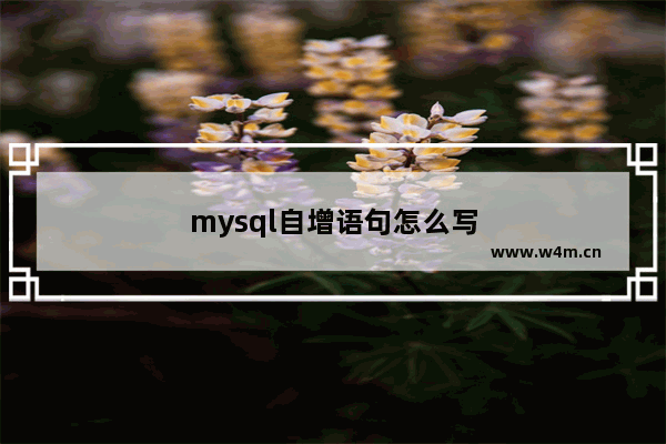 mysql自增语句怎么写