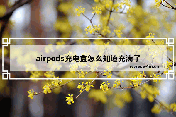 airpods充电盒怎么知道充满了