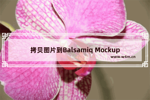 拷贝图片到Balsamiq Mockups的方法