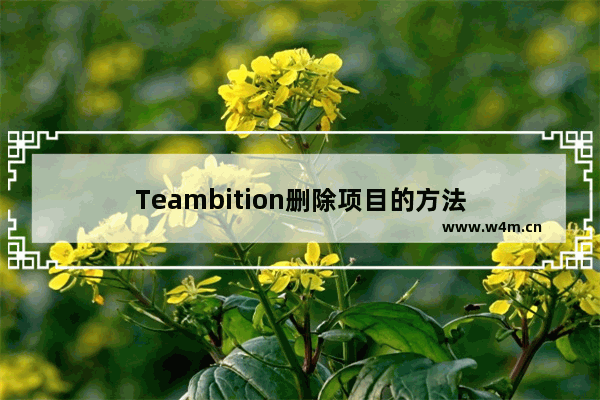 Teambition删除项目的方法