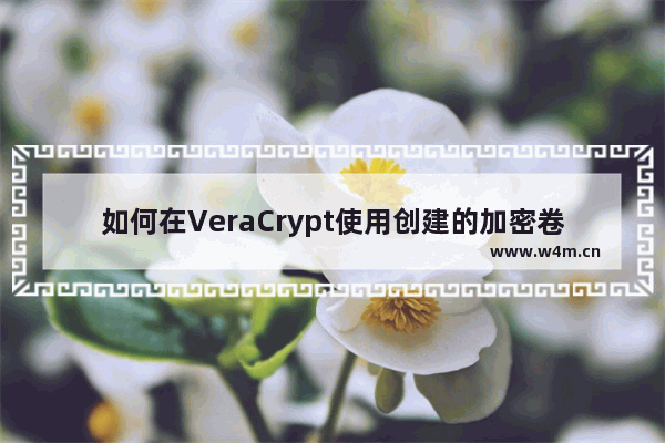 如何在VeraCrypt使用创建的加密卷？