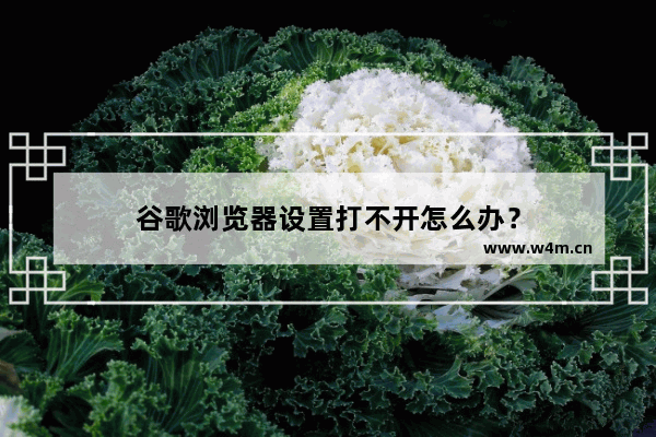 谷歌浏览器设置打不开怎么办？