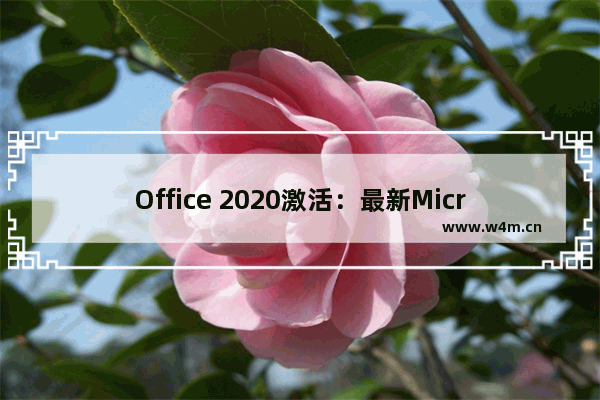 Office 2020激活：最新Microsoft Office 2020激活工具