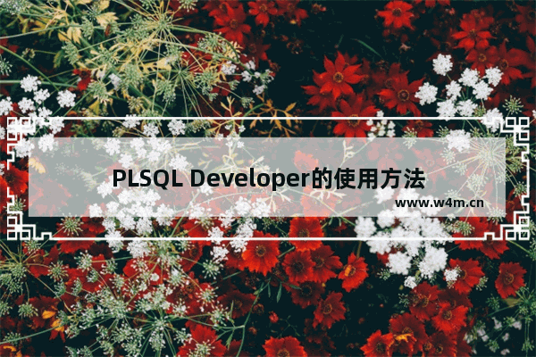 PLSQL Developer的使用方法