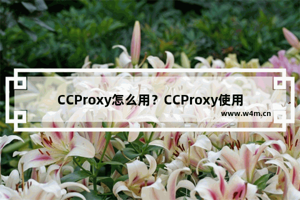 CCProxy怎么用？CCProxy使用方法