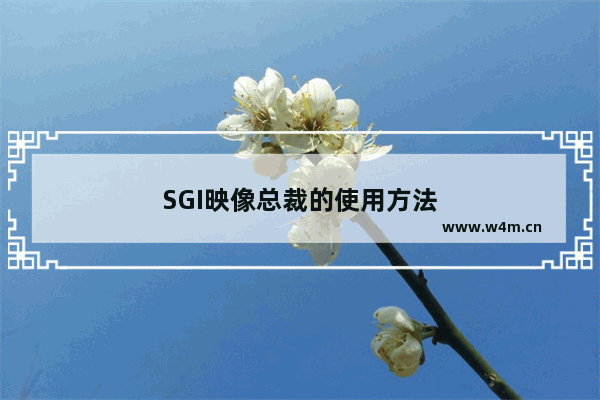 SGI映像总裁的使用方法