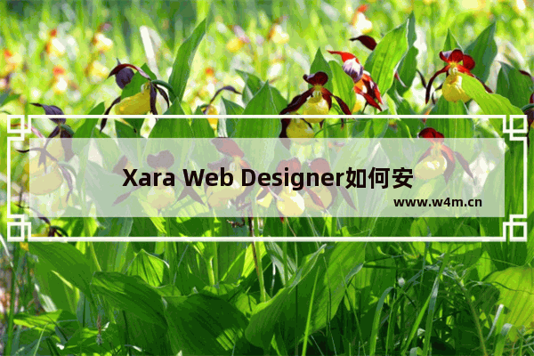 Xara Web Designer如何安装破解？