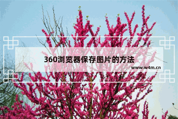 360浏览器保存图片的方法