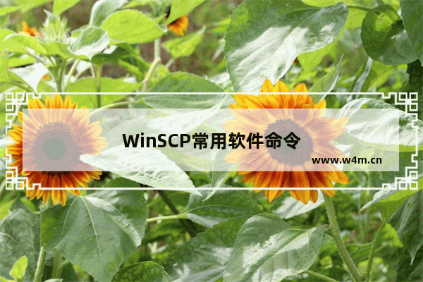 WinSCP常用软件命令