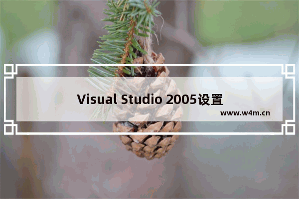 Visual Studio 2005设置字体的方法