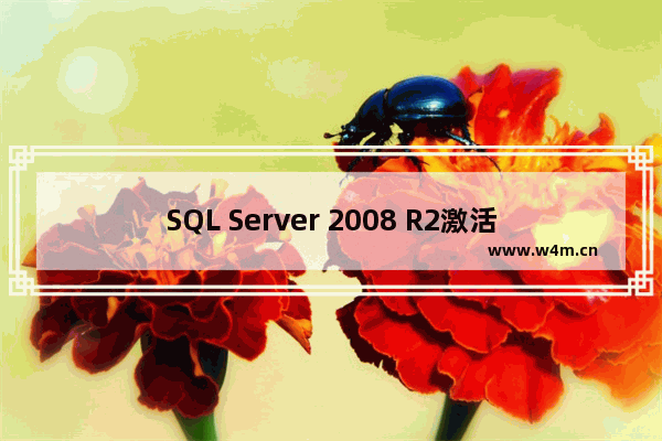 SQL Server 2008 R2激活密钥分享 附安装激活教程