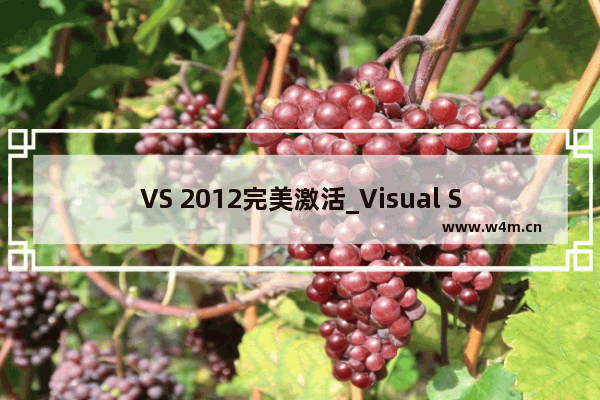 VS 2012完美激活_Visual Studio 2012密钥