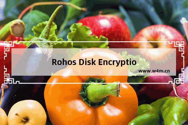 Rohos Disk Encryption怎么使用？