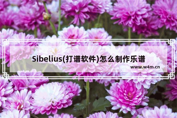 Sibelius(打谱软件)怎么制作乐谱？