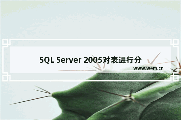 SQL Server 2005对表进行分区的方法