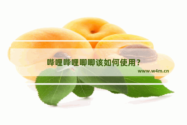 哔哩哔哩唧唧该如何使用？