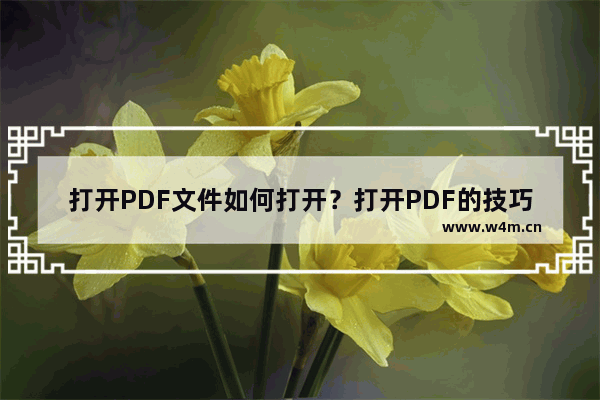 打开PDF文件如何打开？打开PDF的技巧！