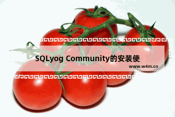 SQLyog Community的安装使用方法