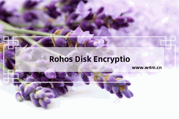 Rohos Disk Encryption的安装破解教程