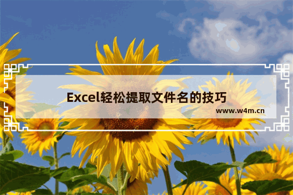 Excel轻松提取文件名的技巧