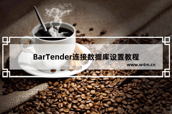 BarTender连接数据库设置教程