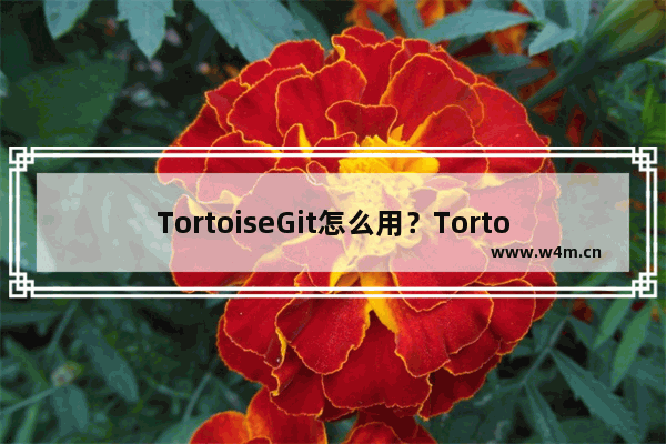 TortoiseGit怎么用？TortoiseGit使用方法