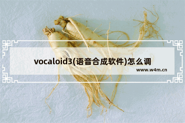 vocaloid3(语音合成软件)怎么调曲速？