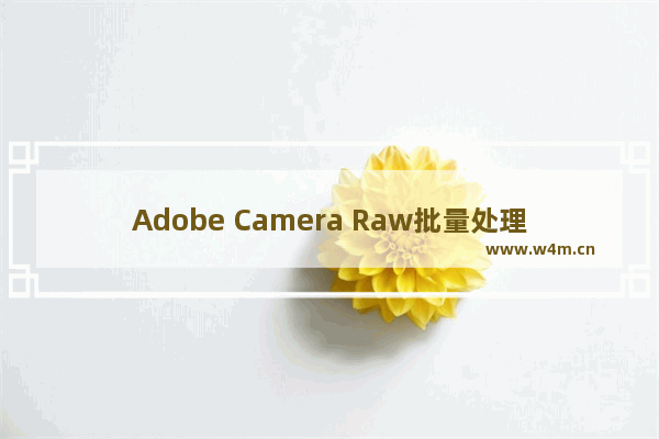 Adobe Camera Raw批量处理的方法